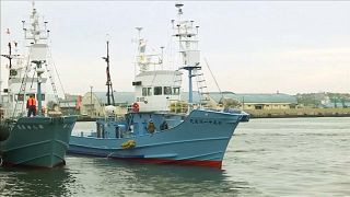 شاهد: بعد 30 عاما...انطلاق أول عملية لصيد الحيتان في اليابان وسط انتقادات