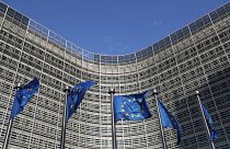 Avrupa Adalet Divanı, Türk çiftin aile birleşimi davasında Danimarka'yı haksız buldu