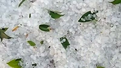 Rare hail carpets eastern Mexican city in 1.5 metres of ice