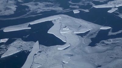 Antarctic sea ice has seen a rapid decline since 2014
