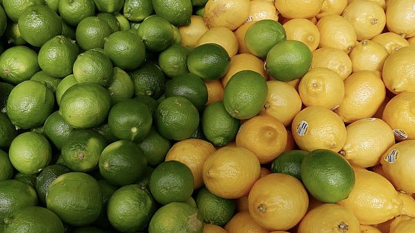 Una amenaza para la agricultura europea: ¿Es el acuerdo de Mercosur un regalo envenenado? Una amenaza para la agricultura europea: ¿Es el acuerdo de Mercosur un regalo envenenado?