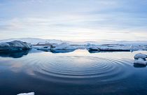 القارّة القطبية الجنوبية تفقد جليداً في 4 أعوام أكثر مما فقدته نظيرتها الشمالية في 34 عاماً
