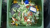 The scale of the food waste problem and a solution