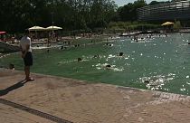 Η ζέστη ανεβάζει την επιθετικότητα στις πισίνες της Γερμανίας