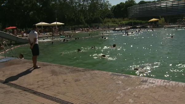 Η ζέστη ανεβάζει την επιθετικότητα στις πισίνες της Γερμανίας Η ζέστη ανεβάζει την επιθετικότητα στις πισίνες της Γερμανίας