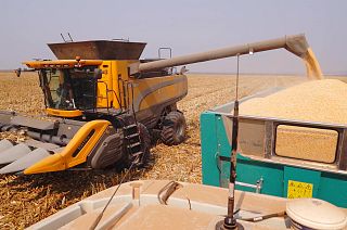 Mining Angola's golden harvest in Malanje province