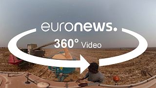 Vídeo 360º: Veja como Angola está a transformar a produção de milho