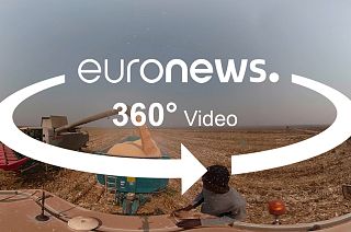 Angola reaps the harvest as international investors move in