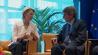 Les eurodéputés doivent entériner la nomination d'Ursula von der Leyen