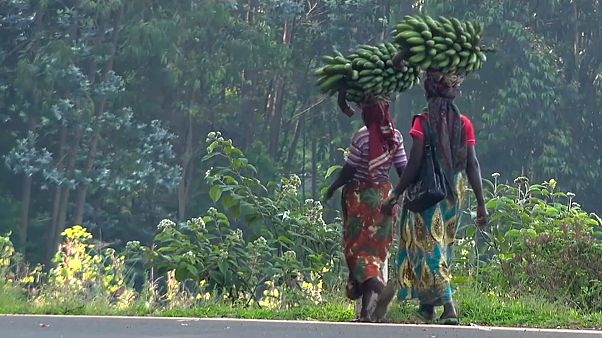 Ruanda 25 anos depois do genocídio Ruanda 25 anos depois do genocídio