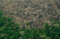 Амазония: «контроль ослабевает»