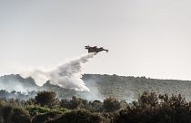 Μεγάλη πυρκαγιά στην Εύβοια