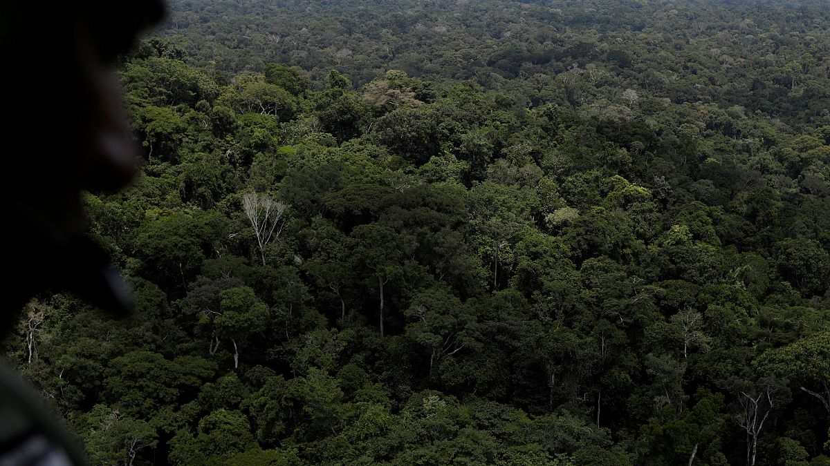 A policeman observes the Amazon rainforest during an operation conducted by Ibama near Novo Progresso, southeast of Para state,