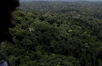 A policeman observes the Amazon rainforest during an operation conducted by Ibama near Novo Progresso, southeast of Para state,