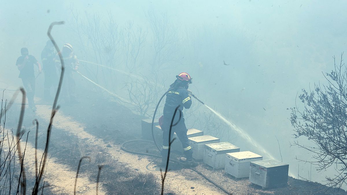 Πυροσβέστης επιχειρεί για την κατάσβεση της πυρκαγιάς που ξέσπασε στην θέση Αυλωνάρι στην Εύβοια