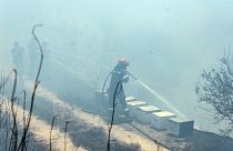 Πυροσβέστης επιχειρεί για την κατάσβεση της πυρκαγιάς που ξέσπασε στην θέση Αυλωνάρι στην Εύβοια