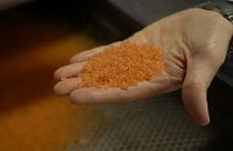 Scoperta plastica "bio"