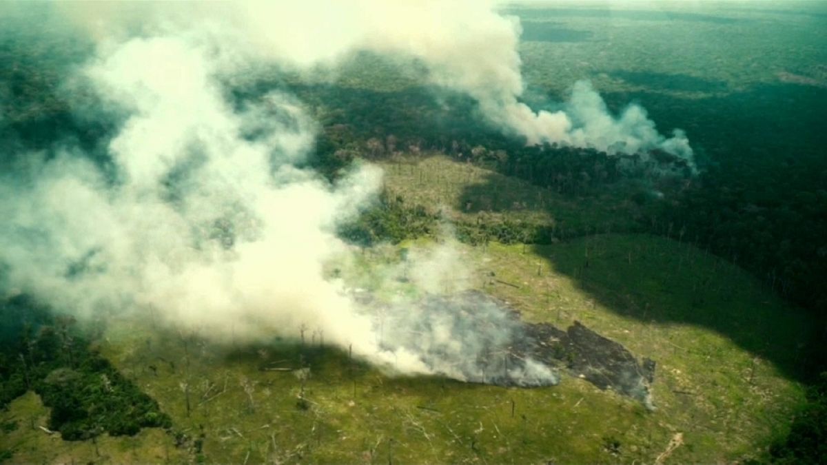 Bolsonaro niega la fuerte deforestación de la Amazonía desde que está en el poder