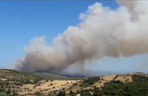 فيديو: إجلاء قرية يونانية بأكملها بسبب انتشار حرائق الغابات