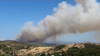 فيديو: إجلاء قرية يونانية بأكملها بسبب انتشار حرائق الغابات