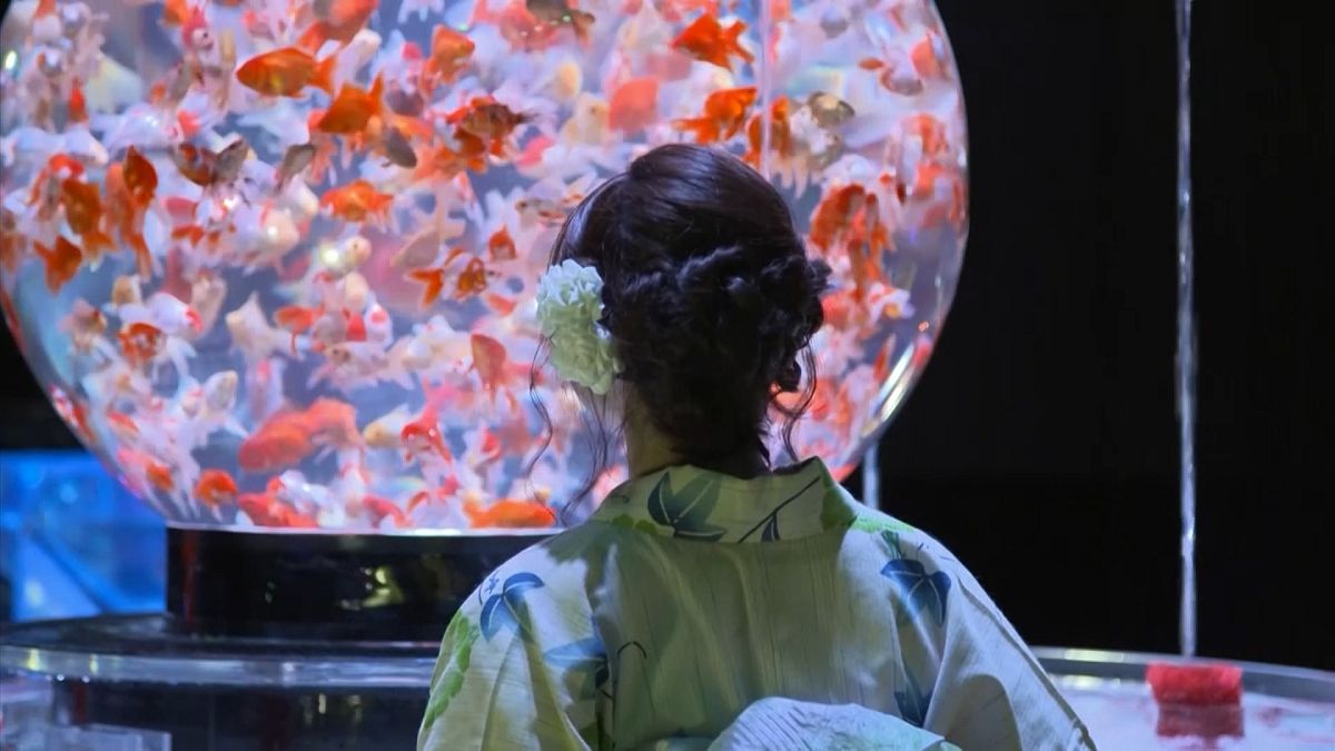 ژاپن؛ ماهی‌های قرمز در آکواریوم هنری توکیو 