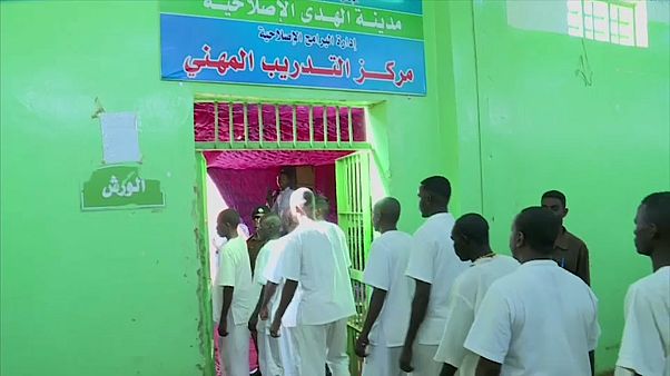 المجلس العسكري الانتقالي يعفو عن 235 أسيراً من حركة تحرير السودان المجلس العسكري الانتقالي يعفو عن 235 أسيراً من حركة تحرير السودان