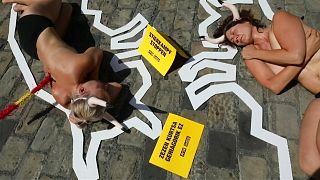 Watch: Dozens protest ahead of San Fermin bull run in Pamplona