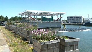 Watch: World's first floating farm in operation in Rotterdam