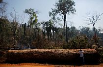 Amazonlardaki tahribat yüzde 88 arttı; Bolsonaro'dan Macron ve Merkel'e davet