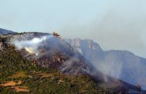 Πυροσβεστικό αεροπλάνο επιχειρεί για την κατάσβεση της πυρκαγιάς στην Εύβοια.