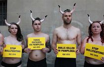 شاهد: ناشطو حقوق الحيوان يتظاهرون لإنقاذ الثيران في إسبانيا