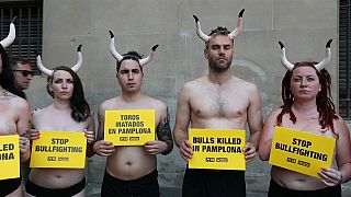 Espagne : ils se mettent à nu pour dénoncer la maltraitance des taureaux