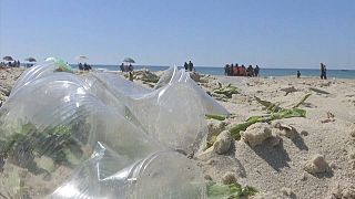 Cientistas aprovam plástico biodegradável