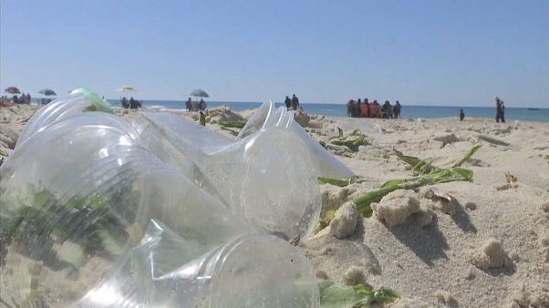 Cientistas aprovam plástico biodegradável Cientistas aprovam plástico biodegradável