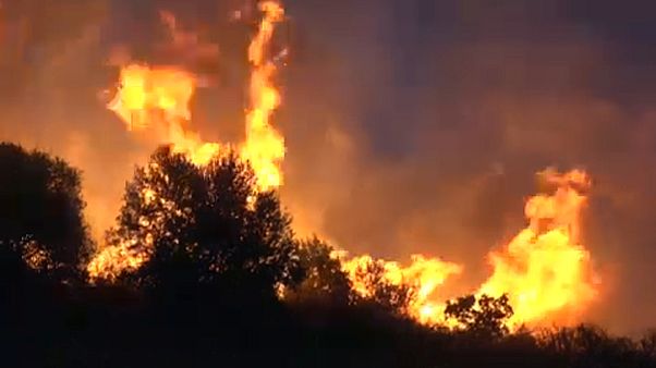 Grécia luta contra incêndios Grécia luta contra incêndios