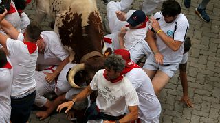 Stierhatz in Pamplona: Bullen nehmen 5 Läufer auf die Hörner
