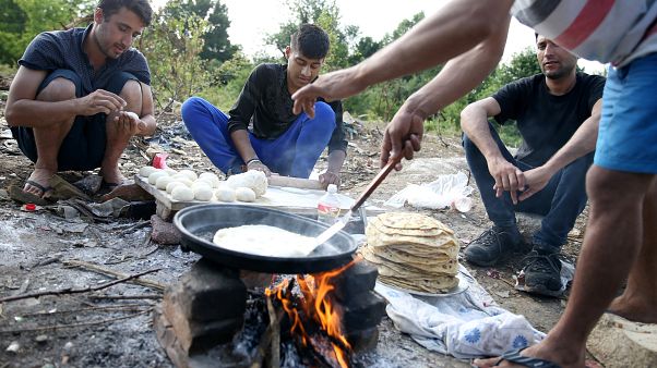 Slovenia e Croazia: barriere anti migranti in aumento Slovenia e Croazia: barriere anti migranti in aumento