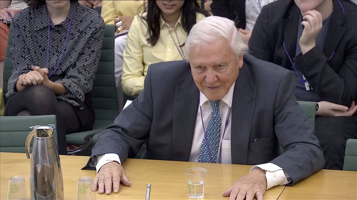 Sir David Attenborough stresses 'radical' change needed to combat climate change