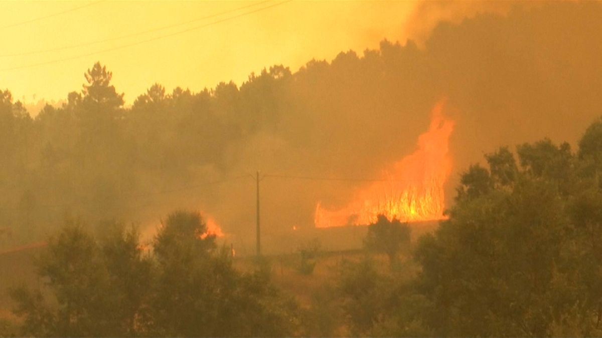 UE pede desculpa a Portugal pela falta de ajuda nos incêndios de 2017