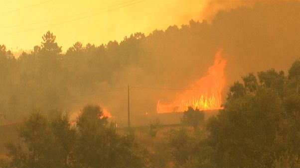 UE pede desculpa a Portugal pela falta de ajuda nos incêndios de 2017 UE pede desculpa a Portugal pela falta de ajuda nos incêndios de 2017