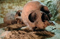 جمجمة هدية تسبب أزمة سياسية في كندا