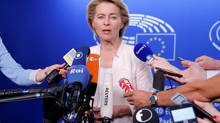 Ursula von der Leyen makes rounds through political groups, tries to gain support