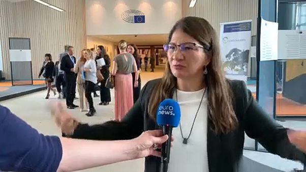 Exguerrilleros de las FARC buscan el apoyo de la Unión Europea Exguerrilleros de las FARC buscan el apoyo de la Unión Europea