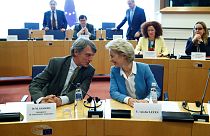 Von der Leyen AB Komisyonu başkanlığı için AP vekillerini ikna etmeye çalışıyor