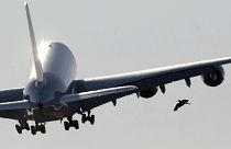 A new Airbus A380 aircraft of Air France KLM takes off following a hand-over ceremony at the manufacturer's site in Finkenwerder near Hamburg October 30, 2009