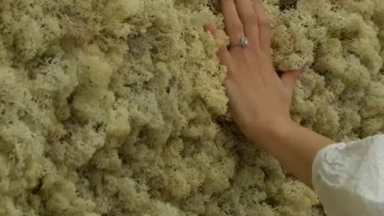 Tocca e annusa il cambiamento climatico