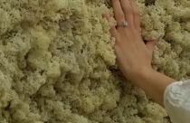 Λονδίνο: Αναδρομική έκθεση του Όλαφουρ Ελίασον στην Tate Modern