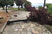 Αυτοψία του euronews στον τόπο της καταστροφής