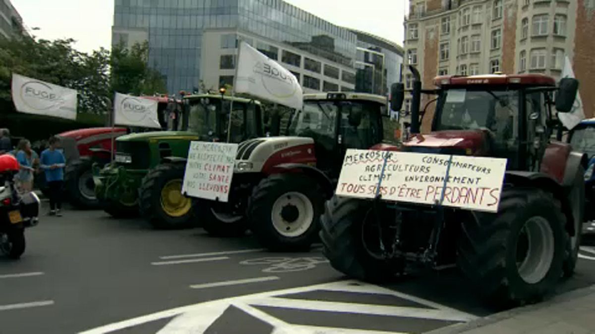 Decenas de agricultores belgas se manifiestan en contra del acuerdo entre Europa y Mercosur