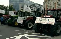 Decenas de agricultores belgas se manifiestan en contra del acuerdo entre Europa y Mercosur